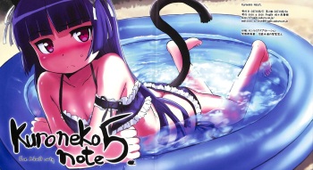 [tete a tete fragile (Sasahara Yuuki)] Kuroneko note 5. (Ore no Imouto ga Konna ni Kawaii Wake ga Nai) [2013-08-24] cover