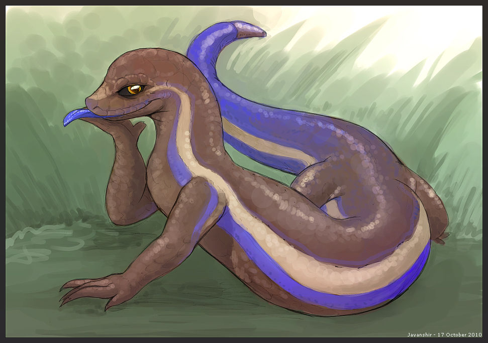 ARTIST  Javanshir page 1 full