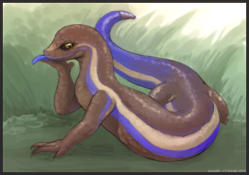 ARTIST  Javanshir cover