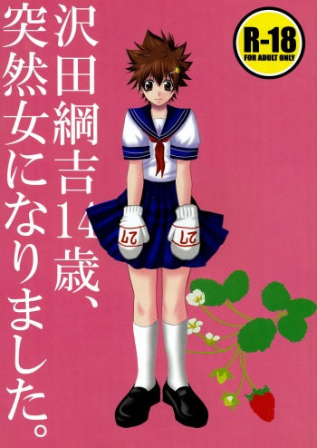 (REAL MAFIA 3) [Ananas Dolce (Minaduki Kanna)] Sawada Tsunayoshi 14-sai, Totsuzen Onna ni Narimashita. (Katekyo Hitman REBORN!) [English] [Tigoris Translates] cover