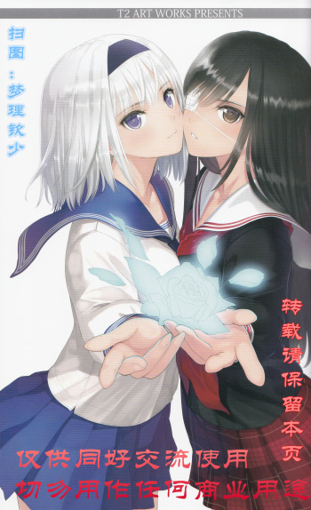 (C89) [T2 ART WORKS (Tony)] Tony MAGAZINE 02 cover