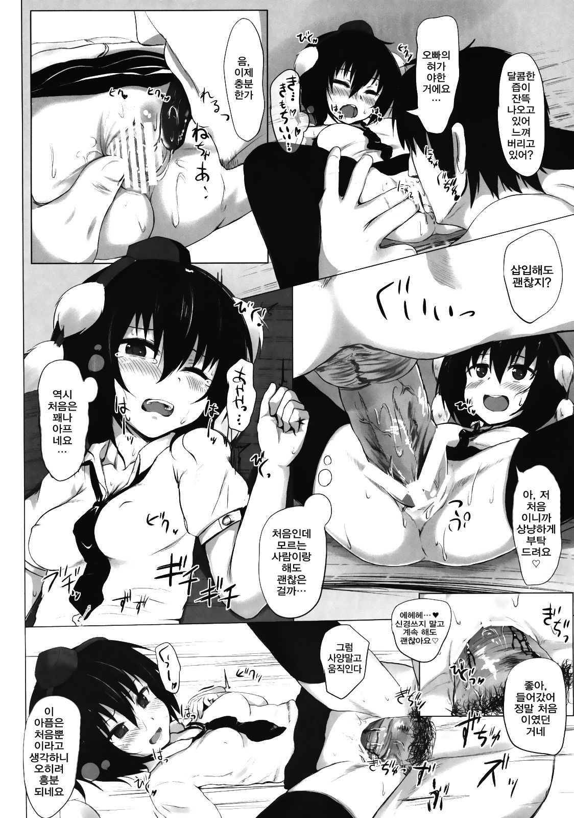 Shameimaru Maruhi Tanbouroku | 샤메이마루 비밀 탐방록 page 11 full