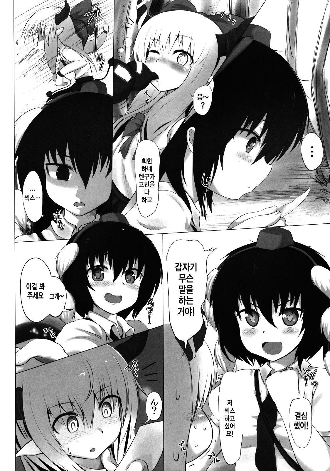 Shameimaru Maruhi Tanbouroku | 샤메이마루 비밀 탐방록 page 5 full