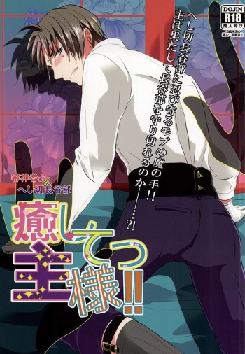(SPARK10) [Kougaku Meisai (Okidaka Yuu)] Iyashi Te Nushi-sama!! (Touken Ranbu) cover
