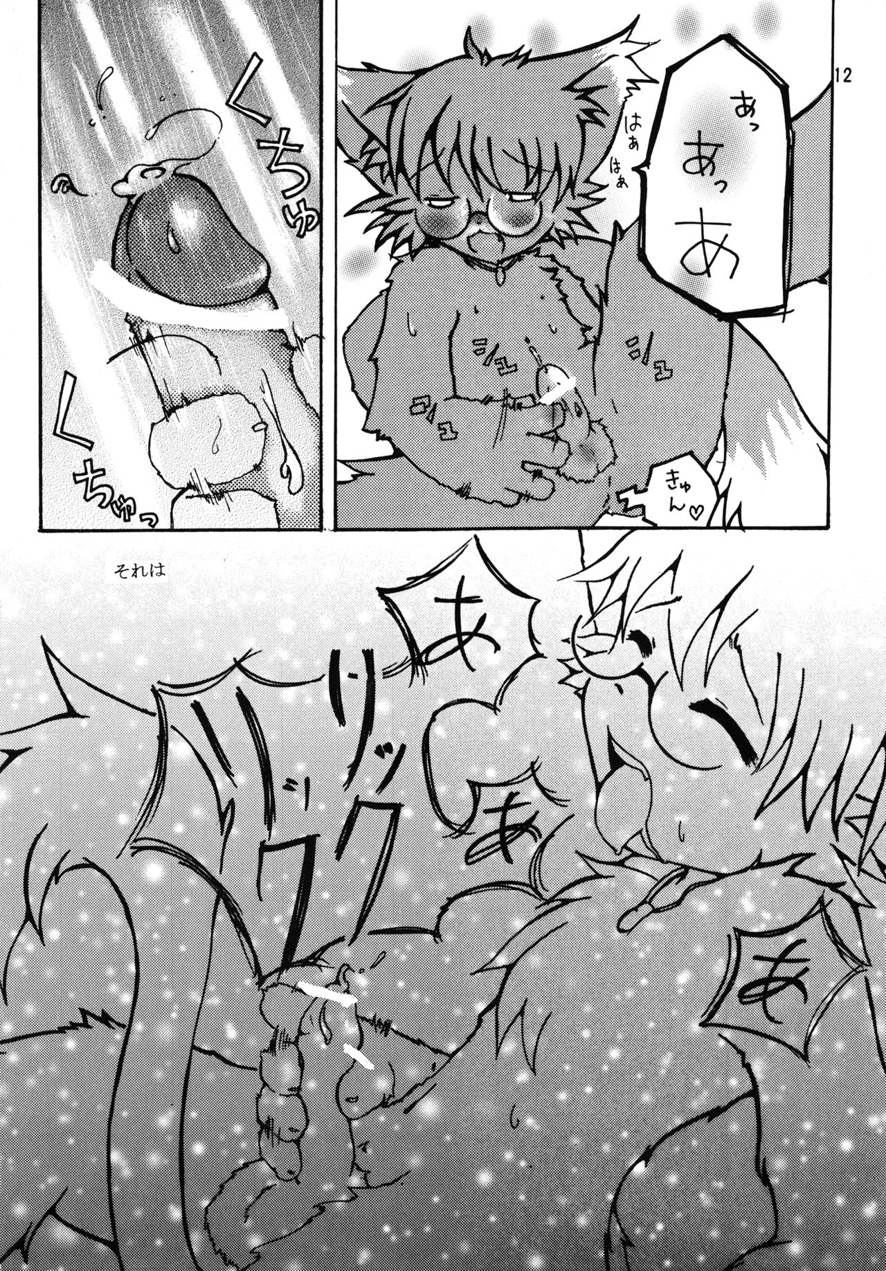Will page 11 full