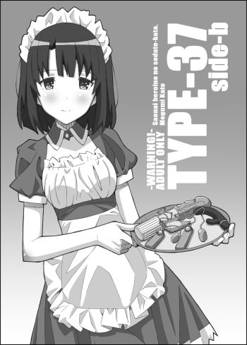 [TYPE-57 (Frunbell)] TYPE-37 side-b (Saenai Heroine no Sodatekata) [Digital] cover