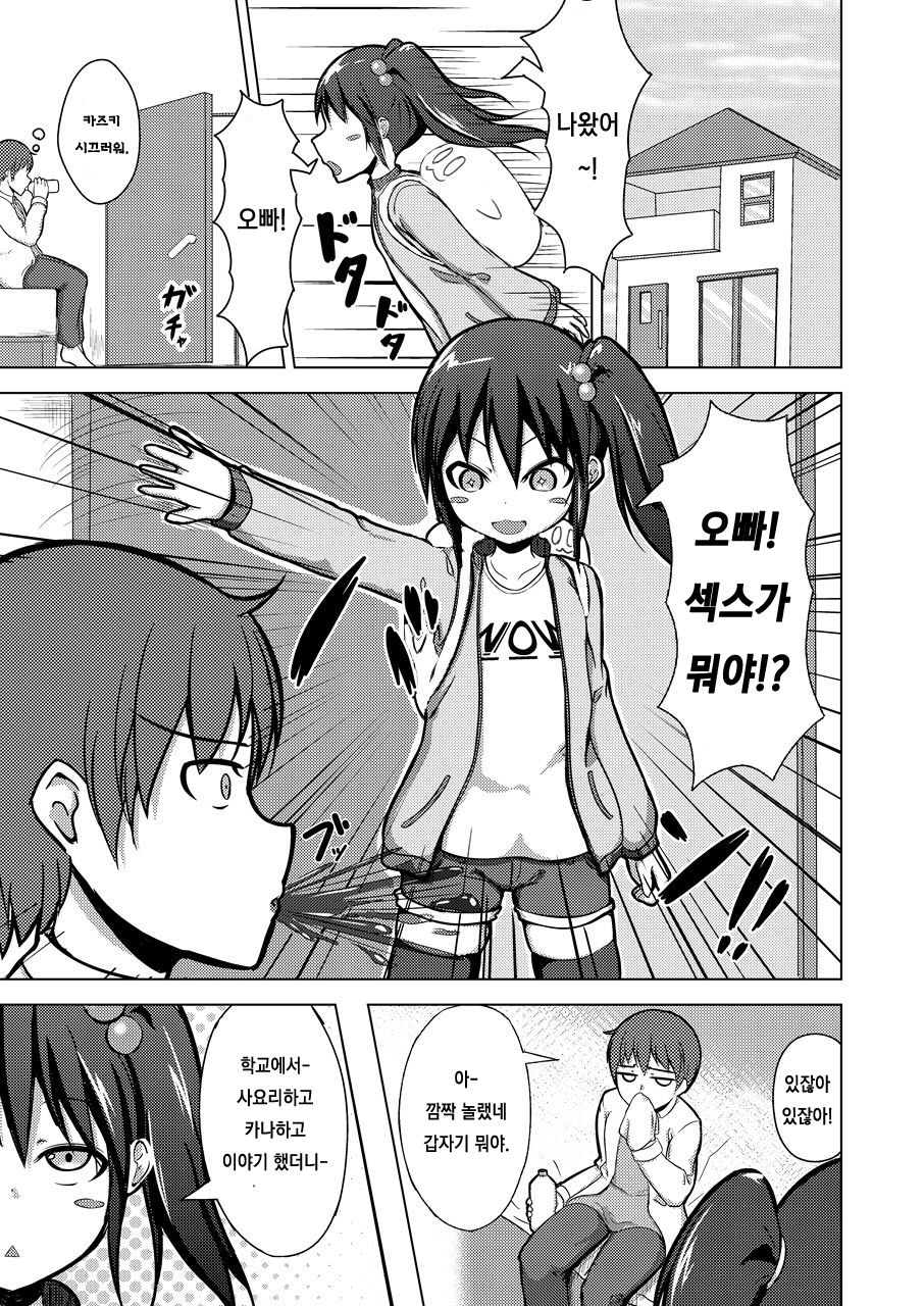 Nii-chan SEX tte Nani!? | 오빠 SEX 란게 뭐야 page 2 full