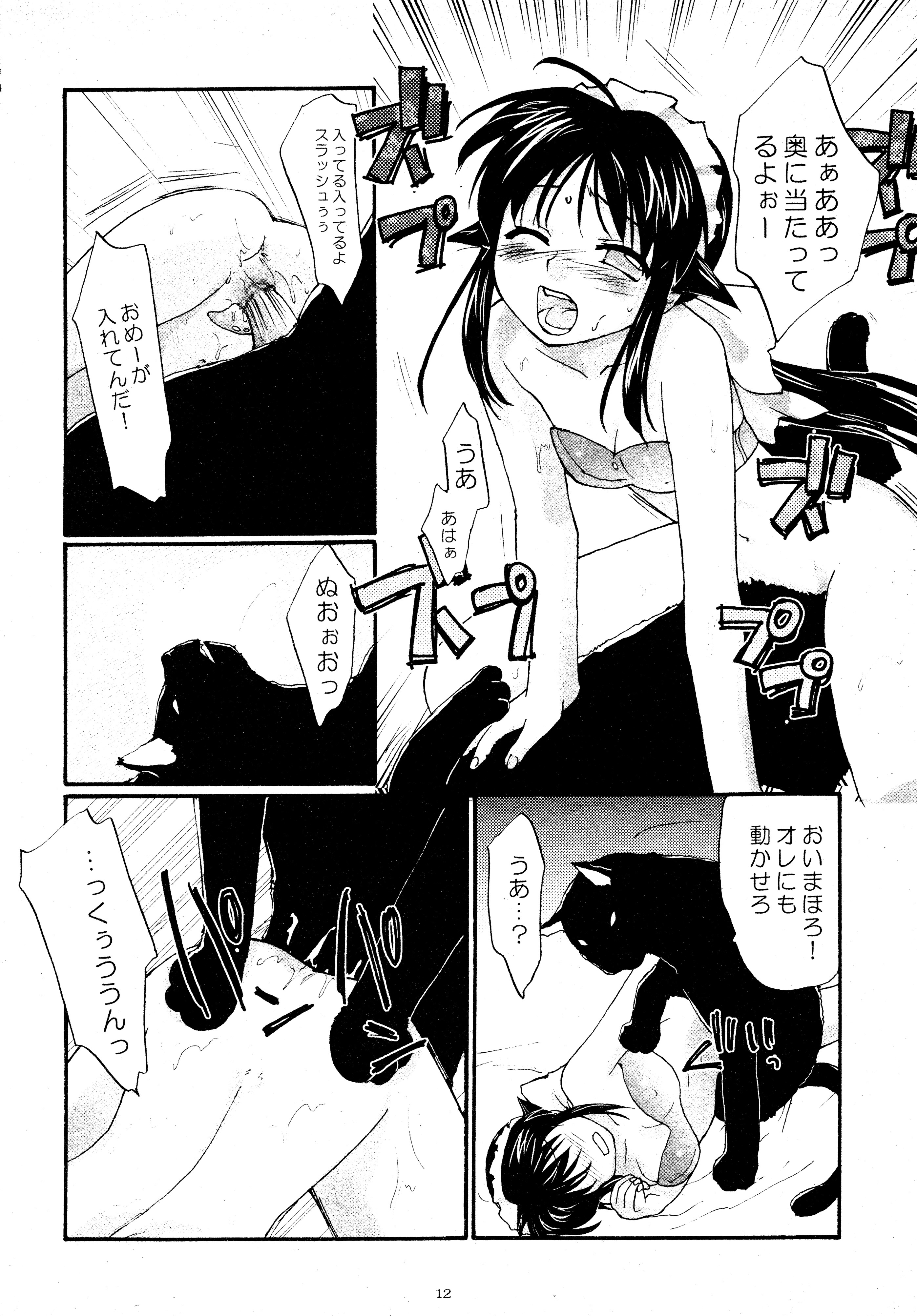 Toorimatic page 12 full