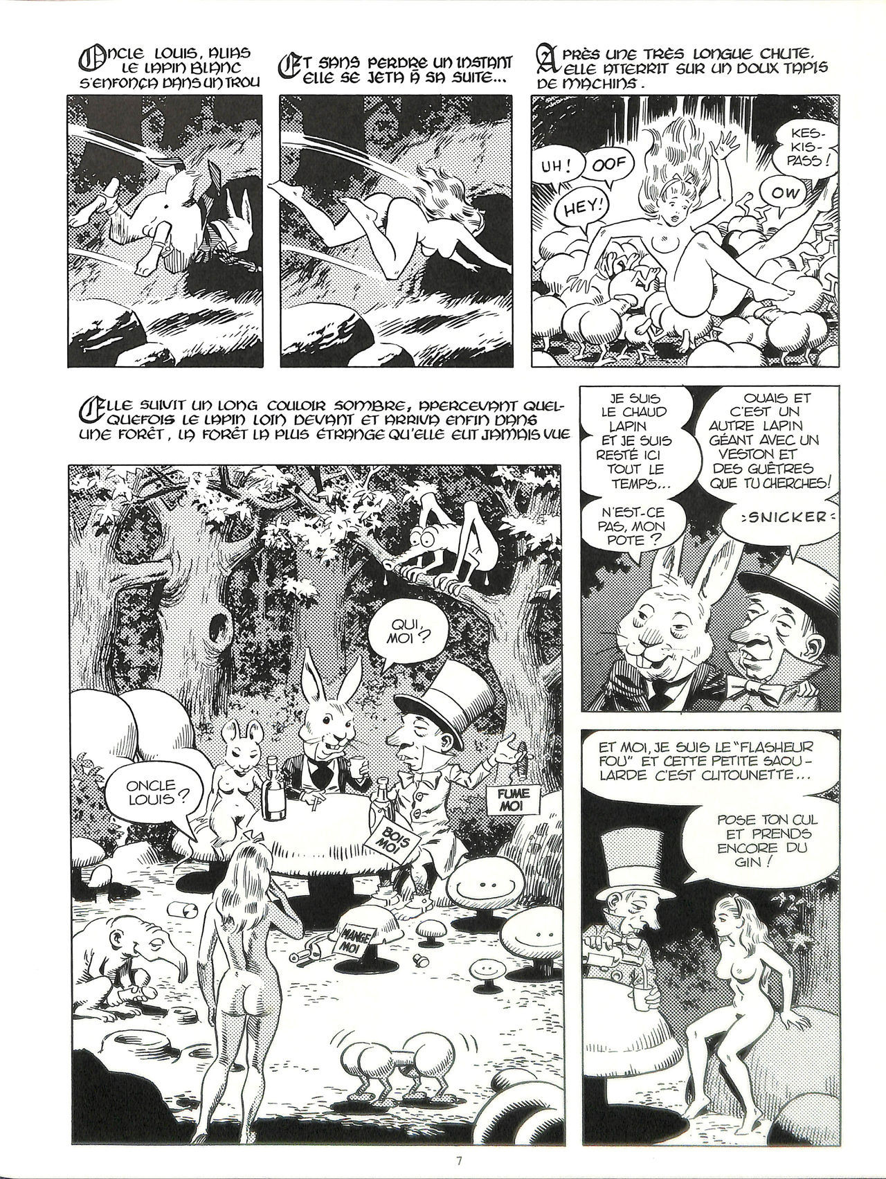 Cons de Fée page 11 full