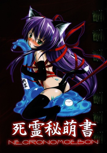 (C65) [Tanmatsu Ijou (BadHanD)] Shiryou Himoesho Necronomoebon (Demonbane) cover