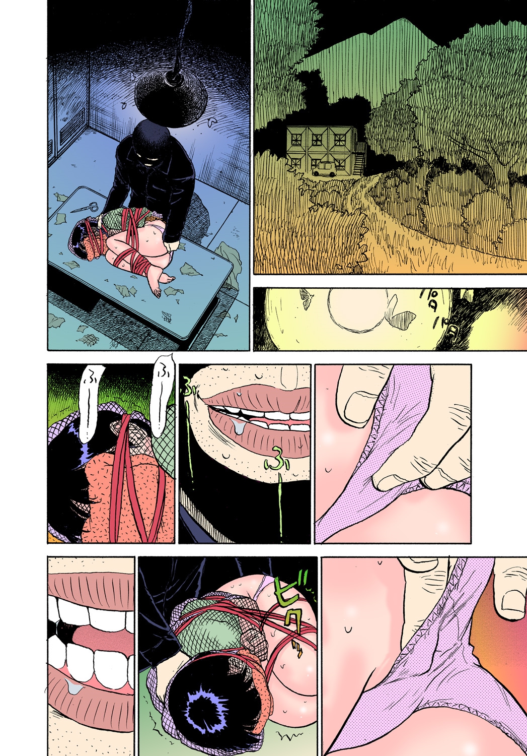 ABDUCT ~Ikenai Shiiku Kansatsu~ page 6 full