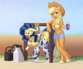 ARTIST Carnisclopcorner cover