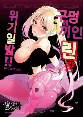 (C91) [Current Storage (Pyon-Kti)] Kabehame Rin-chan Kikiippatsu!! (Bakuon!!) [Korean] [오테] cover