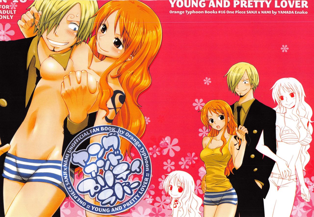 SweetNess 3 Sanji x Nami Sairokushuu page 2 full