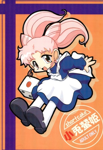 (C60) [Group 601 (Various)] Kousagi Hotaru-hime (Bishoujo Senshi Sailor Moon) cover
