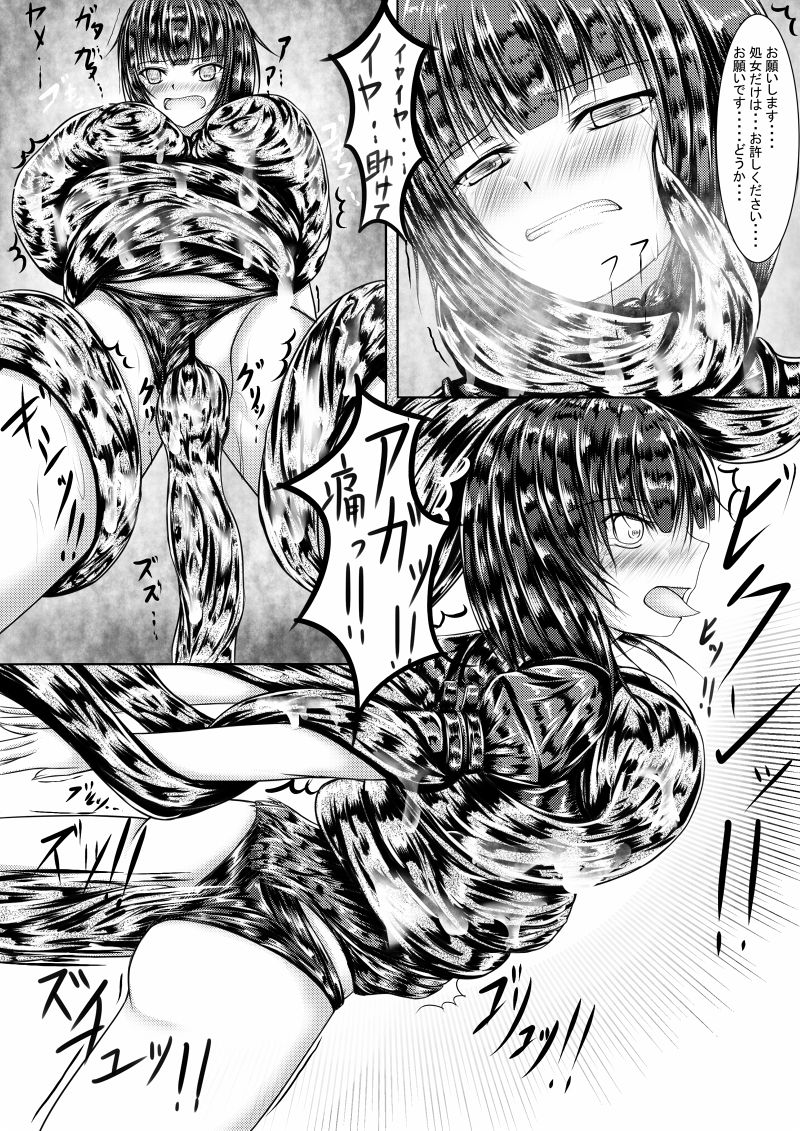 Shadowverse no Hon page 11 full