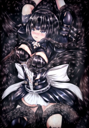 [Hayashi] Shadowverse no Hon (Shadowverse) cover