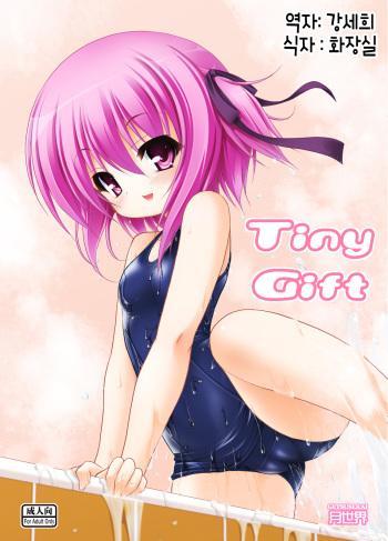 (C86) [Getsusekai (Motoe Hiroya)] Tiny Gift (Ro-Kyu-Bu!) [Korean] cover