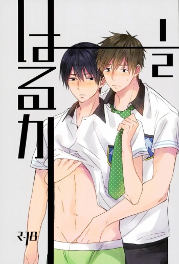 (C87) [Karaage Lemon (Ototo)] Haruka 1/2 (Free!) cover