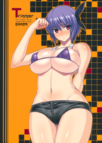 (C90) [Darabuchidou (Darabuchi)] Trigger (Dead or Alive) [Korean] cover