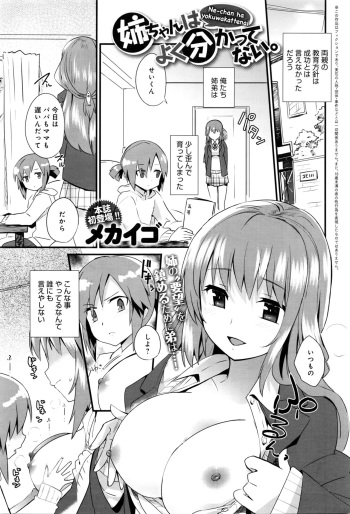 [Mekaigo] Nee-chan wa yoku wakattenai. Ch. 1-3 cover
