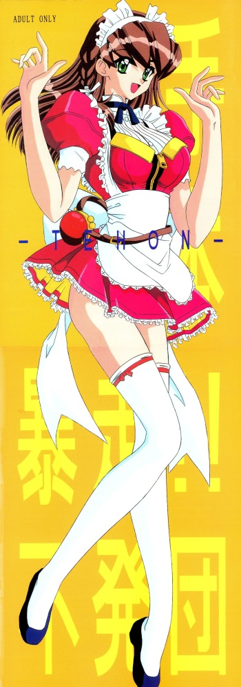 [Bousou!! Fuhatsudan (Takai Biki)] TEHON (Hand Maid May) cover