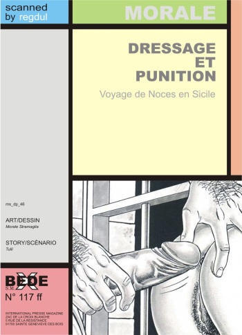 [Morale Stramaglia] Dressage et Punition [FR] cover