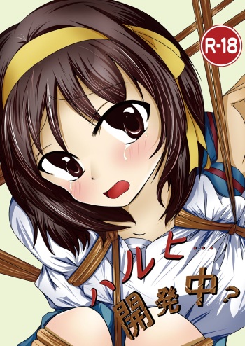 [Apurikokko (Appuri Ko)] Haruhi... Kaihatsuchuu? (Suzumiya Haruhi no Yuuutsu) [Digital] cover