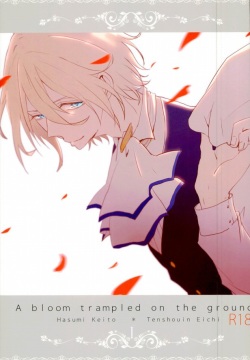 a bloom trampled on the ground 1