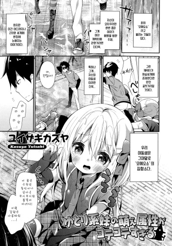 [Yuizaki Kazuya] Yutorikei Imouto no Moe Zokusei ga Kote Kote Sugiru (Kinshin Sister Lovers - Jisshi to Jitsumai wa Chou Inranhen-) [Korean] cover