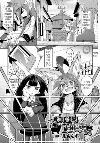 [Emons] Tadashii Neko no Kawa Rekata (2D Comic Magazine Monster Musume ni Okasaretai! Vol. 2) [Korean] [Lwnd] [Digital] cover