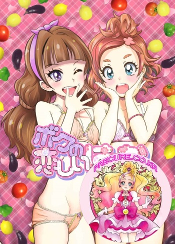 [Gramp] Boku no Koishii Haruka (Go! Princess PreCure) [Korean] cover