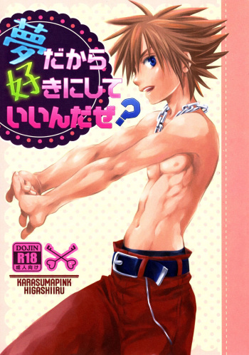 (C87) [Karasuma Pink Higashiiru (Karasuma Pink)] Yume Dakara Suki ni Shite ii nda ze? (Kingdom Hearts) [English] {Shotachan} cover