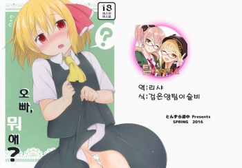 (Reitaisai 13) [Tonzura Douchuu (Kazawa)] Onii-san, Nani Suru no? | 오빠, 뭐해? (Touhou Project) [Korean] [팀☆데레마스] cover