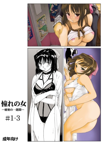 [Paranoia Cat (Fujiwara Shunichi)] Akogare no Onna -Himitsu no Isshuukan- #1-3 cover