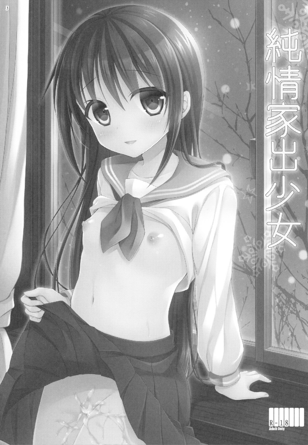 Junjou Iede Shoujo page 3 full