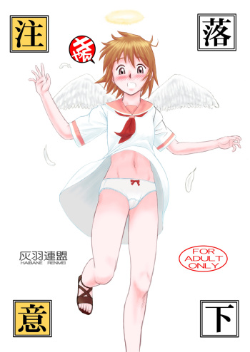 [Nighthawk Project (Nighthawk)] Rakka Chuui (Haibane Renmei) [Digital] cover
