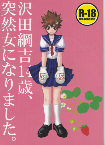 (REAL MAFIA 3) [Ananas Dolce (Minaduki Kanna)] Sawada Tsunayoshi 14-sai, Totsuzen Onna ni Narimashita. (Katekyo Hitman REBORN!) cover