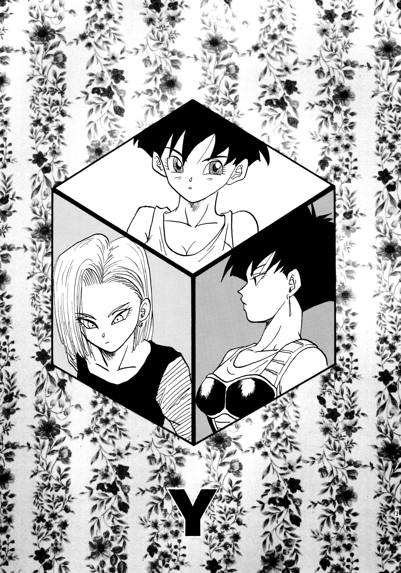 Y page 3 full