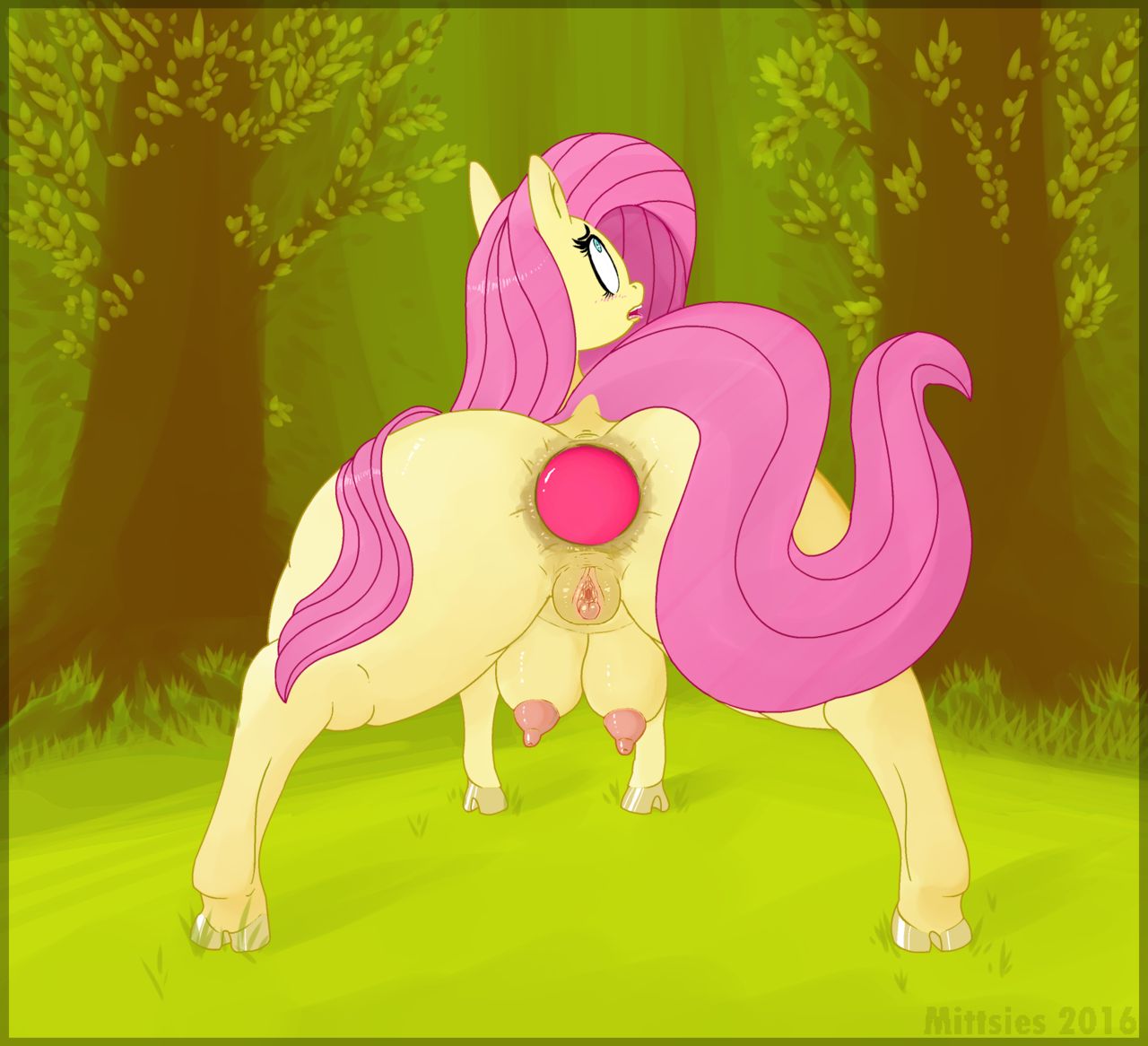 FlutterForest Folio page 5 full
