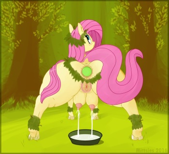[Mittsies] FlutterForest Folio cover