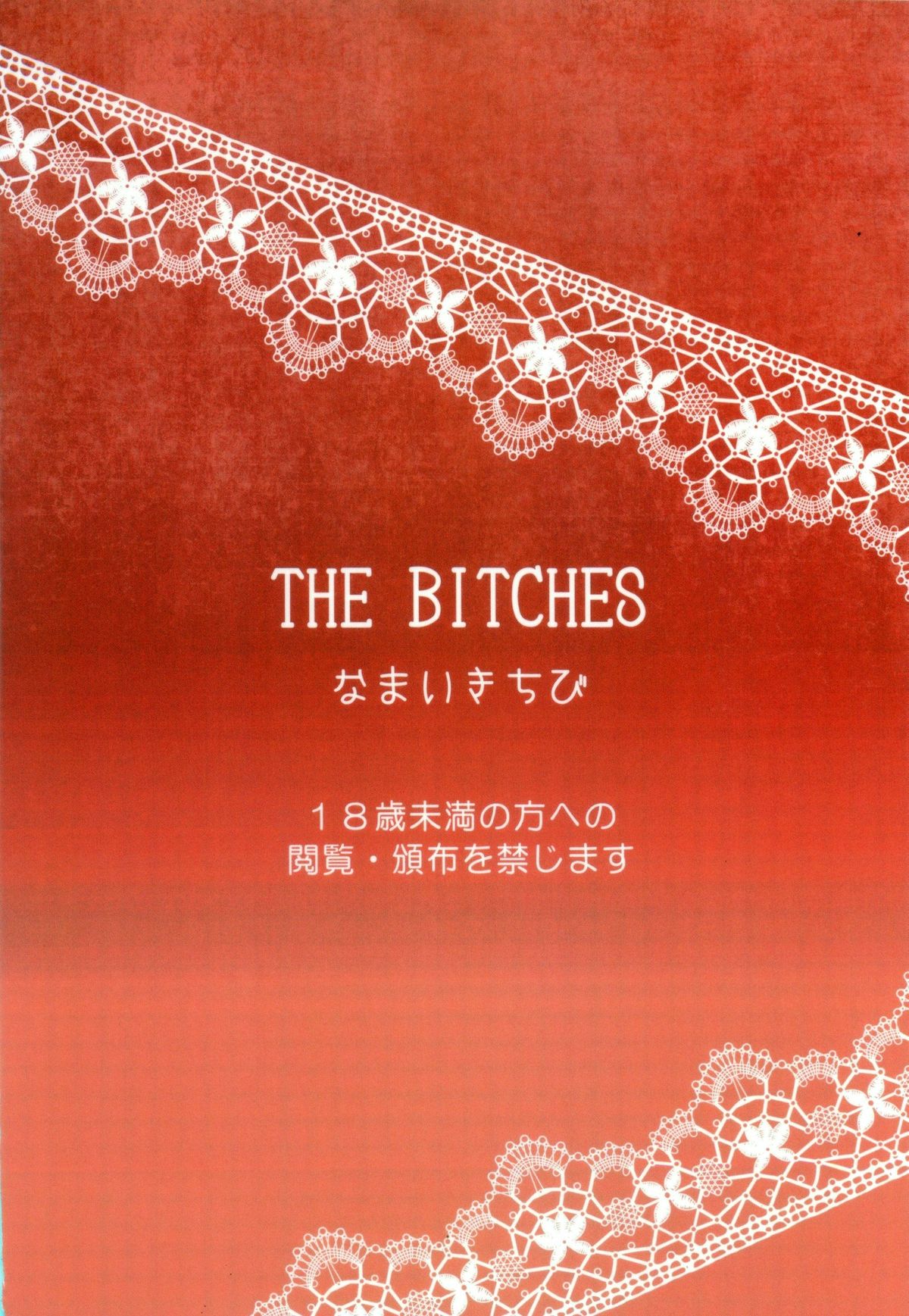 THE BITCHES page 2 full
