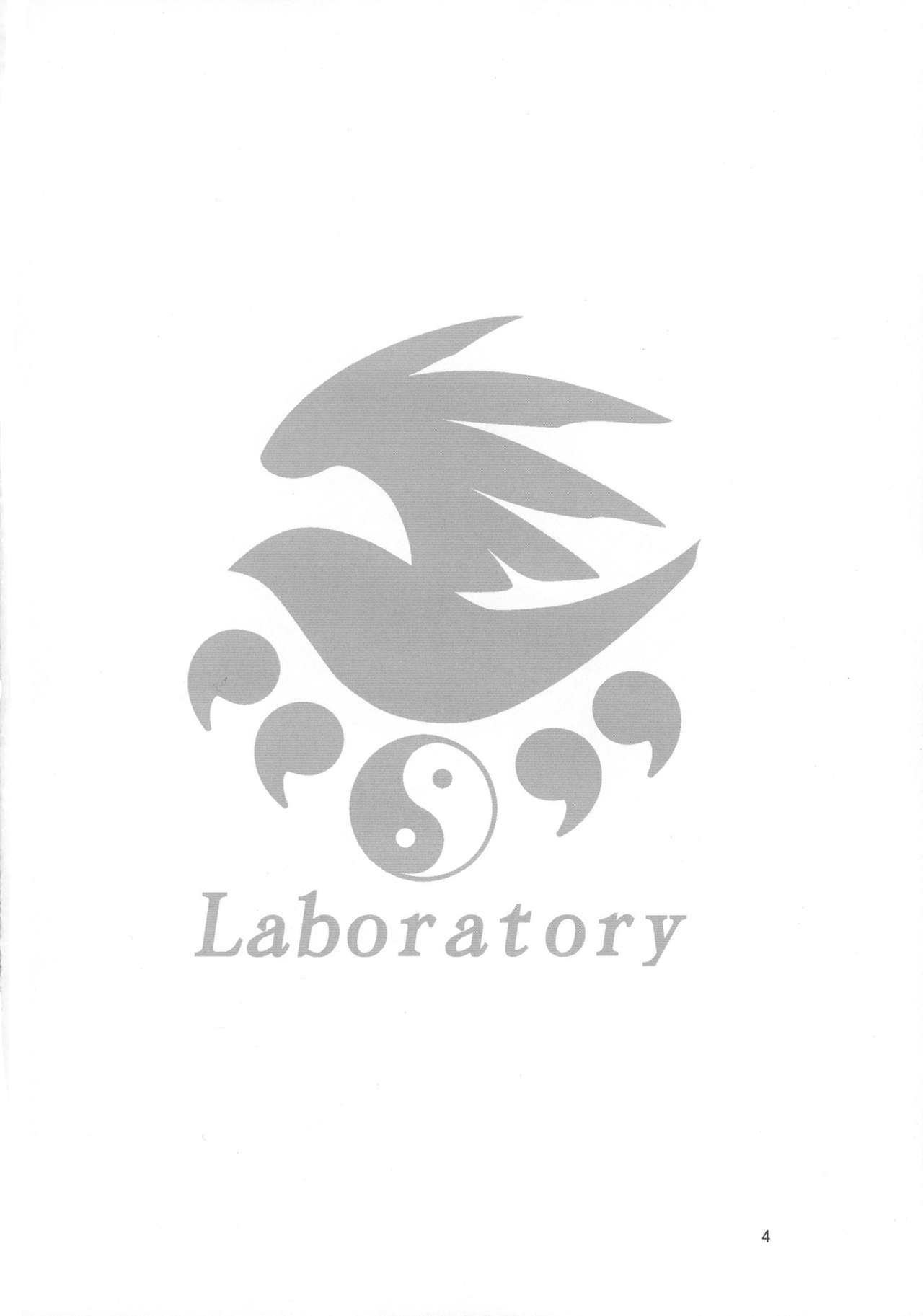 Laboratory page 4 full