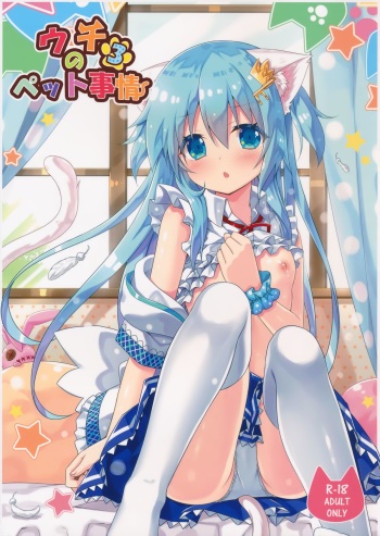 (C89) [Animal Herb (Yano Mitsuki)] Uchi no Pet Jijou 3 cover