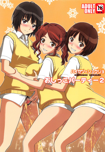 (C91) [COOL BRAIN (Kitani Sai)] Oshikko Party 2 (Amagami) cover
