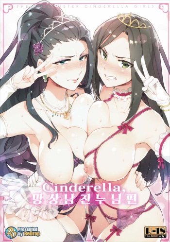 (COMIC1☆10) [ReDrop (Miyamoto Smoke, Otsumami)] Cinderella, Mousou Kareshi Anego Hen (THE IDOLM@STER CINDERELLA GIRLS) [Korean] cover
