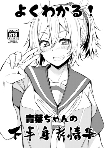 [Triple Luck (Miyoshi)] Yoku Wakaru! Aoba-chan no Kahanshin Hyoujou Shuu (Kantai Collection -KanColle-) [Digital] cover