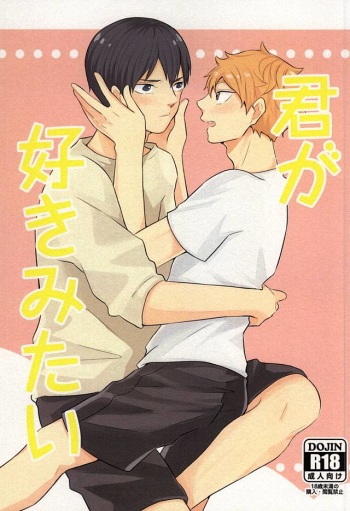 (SUPERKansai21) [Motchimochina Mochi (Motchiriko)] Kimi ga Suki Mitai (Haikyuu!!) cover