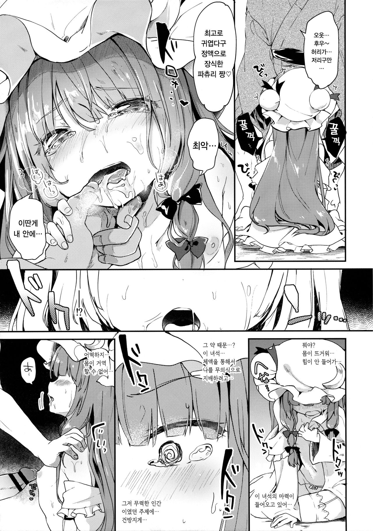 Karakuchi Patchouli-sama | 쌀쌀맞은 파츄리 님 page 11 full