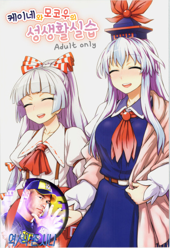 (C87) [110-GROOVE (Itou Yuuji)] Keine to Mokou no Seikatsu Jisshuu (Touhou Project) [Korean] [존 시나] cover